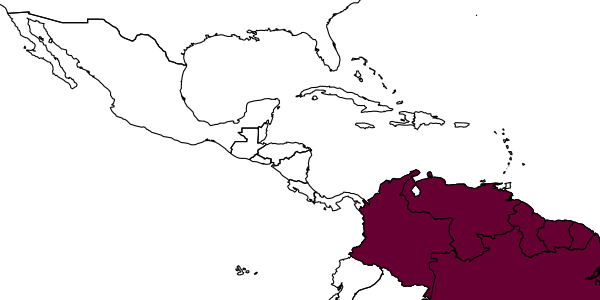 map of Ochetomyrmex neopolitus     Fernández, 2003